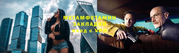 шишки Белокуриха