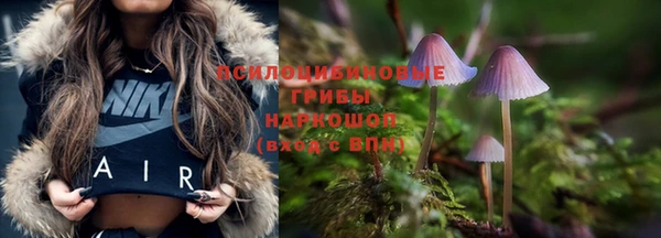 a pvp Баксан