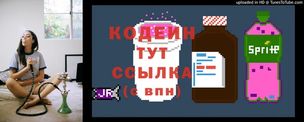 шишки Белокуриха