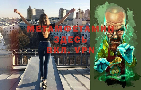 шишки Белокуриха