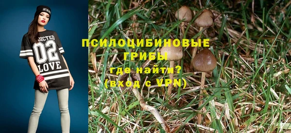 a pvp Баксан